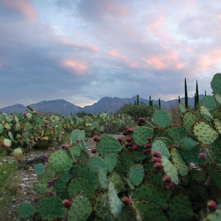 Canyon Ranch Tucson Mount Lemmont المظهر الخارجي الصورة